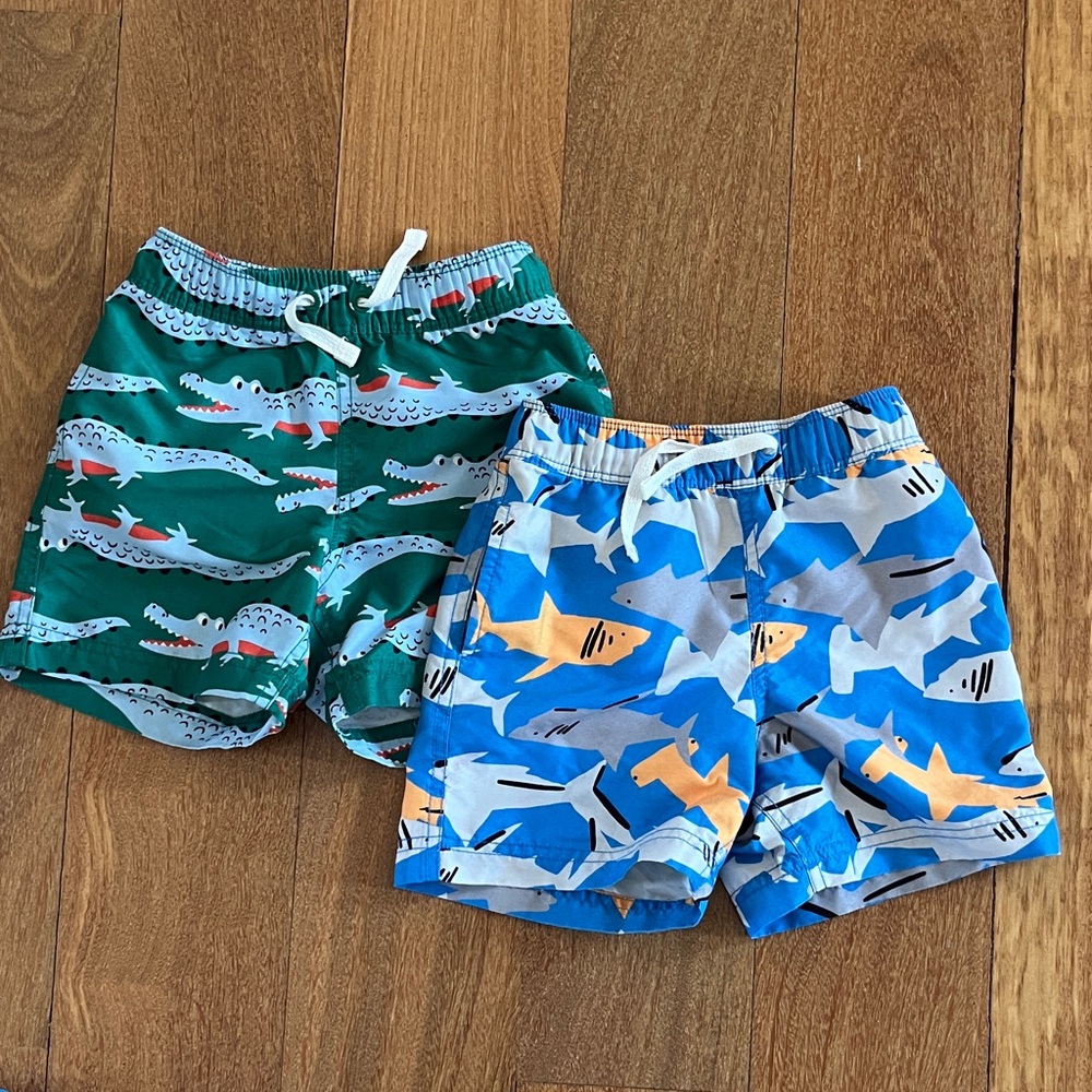 Hanna Andersson Swim Trunks Set